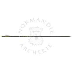 VICTORY - Tube Carbone V-TAC 23 ELITE V1 .314 (x12)